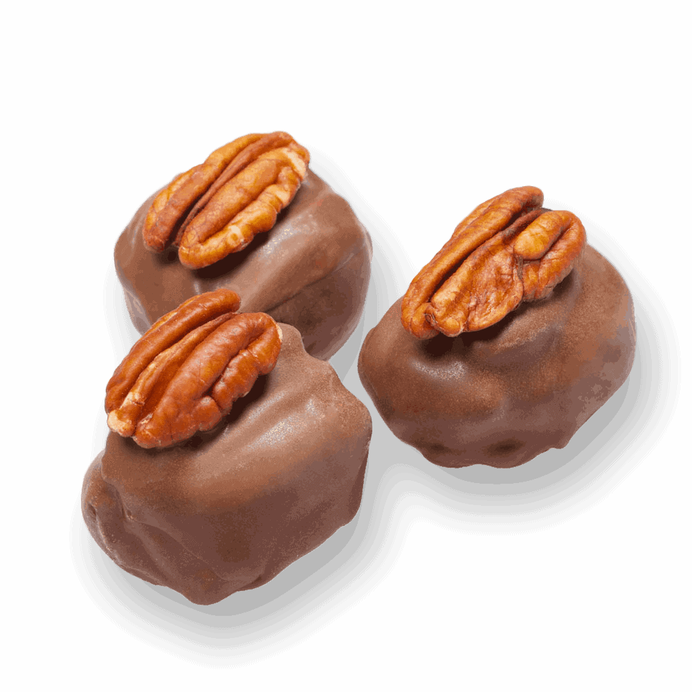 Milk Chocolate Turtle Gift Box San Francisco Fudge Factory